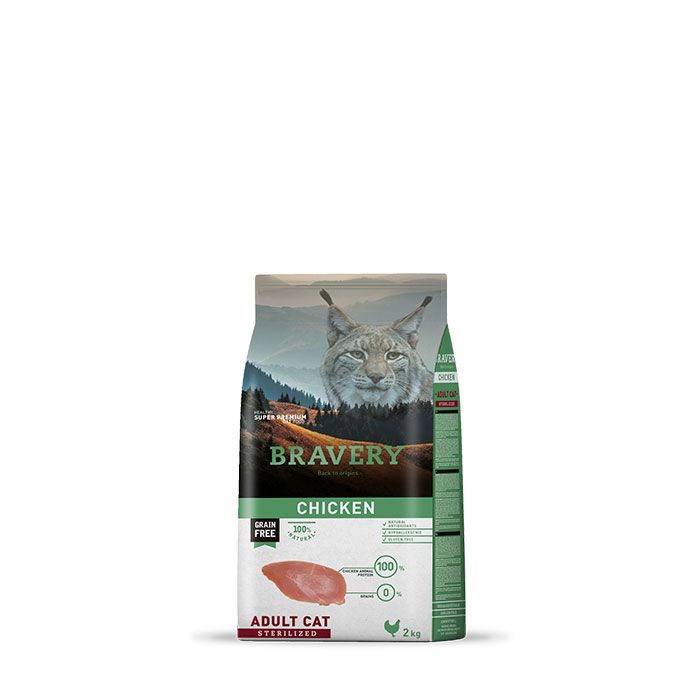 BRAVERY CAT ADULTO POLLO 2KG