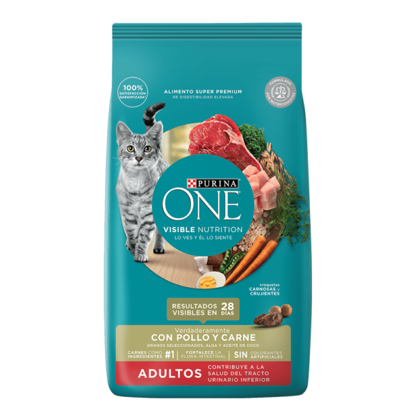 PURINA ONE CAT