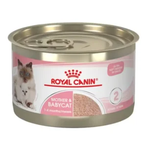 LATA ROYAL CANIN CAT MOTHER AND BABY 145GR